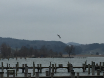Kite Surfer im März 2018 am Chiemsee